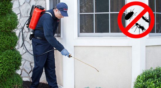 Abana Hamam Böceği İlaçlama böcek ilaçlama ve haşere kontrolü — ilaclama-tr.com